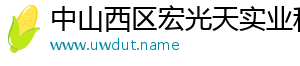 中山西区宏光天实业科技有限公司
